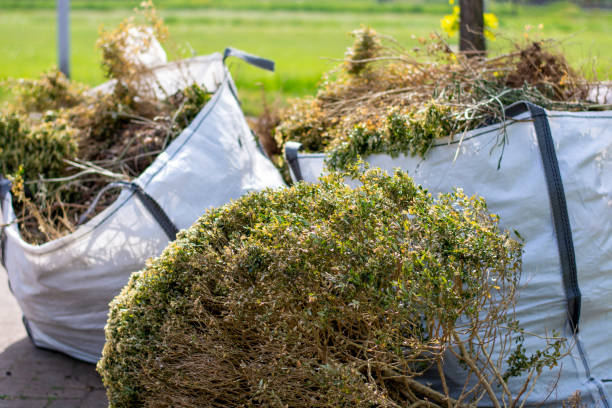 Trusted Forrest City, AR Junk Removal Experts